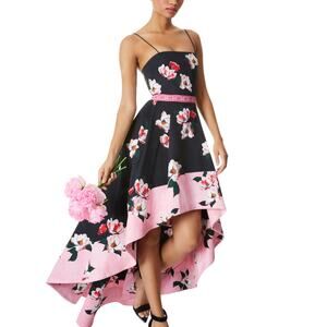 Alice And Olivia Floral After Dark Florence Gown Size 2 NWT